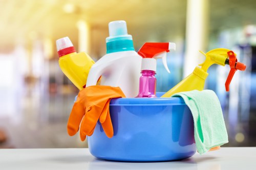 Professional carpet cleaning service with insurance and safety measures
