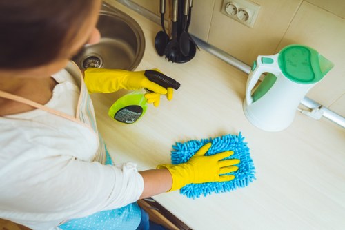 Specialist treatment for pet urine stain removal in South Ruislip