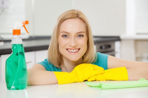 Customer booking process for professional carpet cleaning service