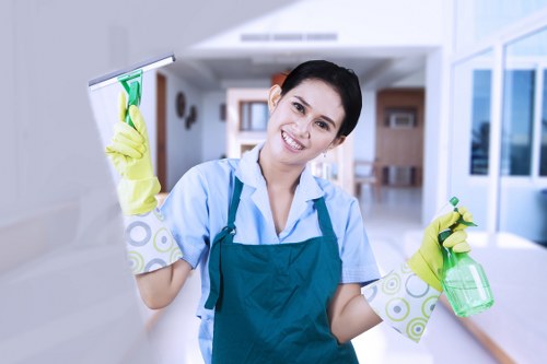 Deep cleaning upholstery affected by pet odour in South Ruislip